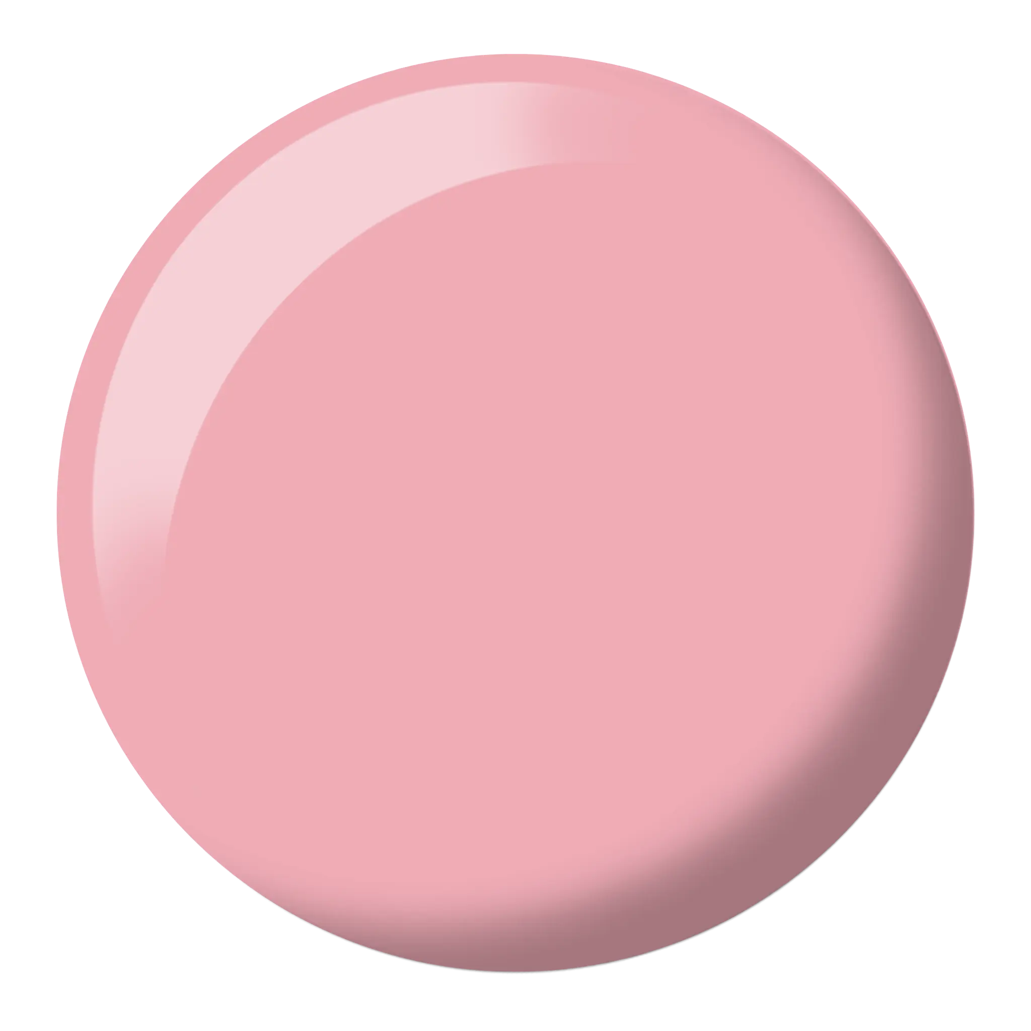 Pink Beauty #593