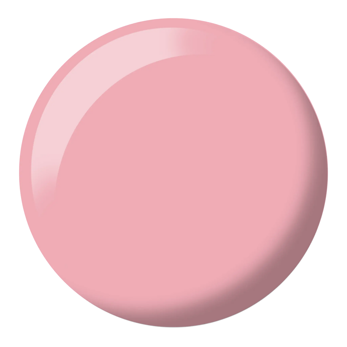 Pink Beauty #593