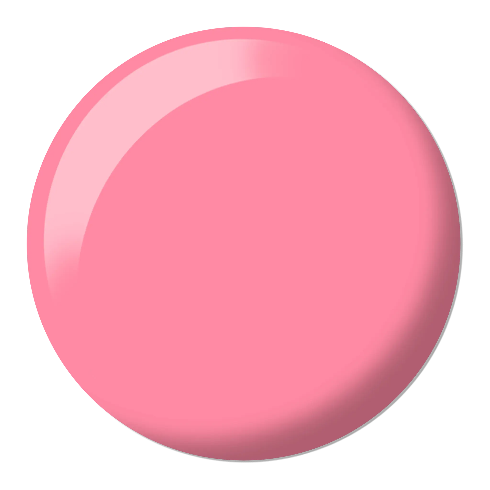 Shy Blush #646